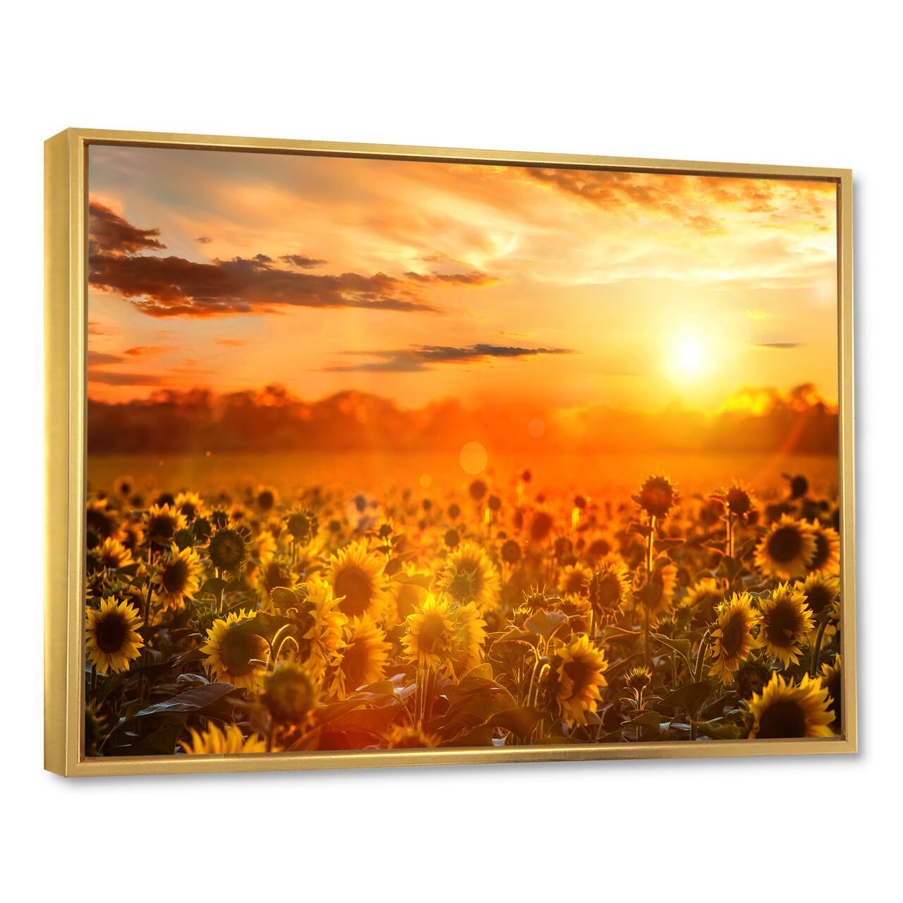 Designart - Yellow Sunset over Sunflowers - Floral Photography Framed Canvas Art